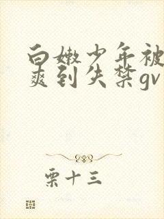 白嫩少年被调教爽到失禁gv双男小说