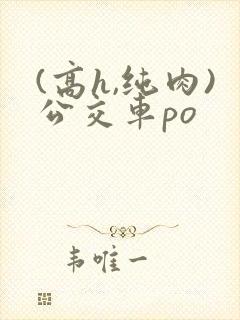 (高h,纯肉)公交车po