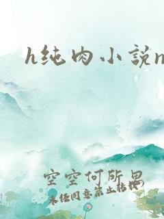 h纯肉小说np