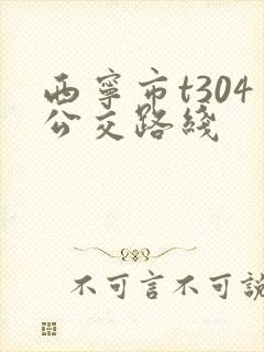 西宁市t304公交路线