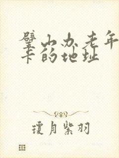 璧山办老年公交卡的地址