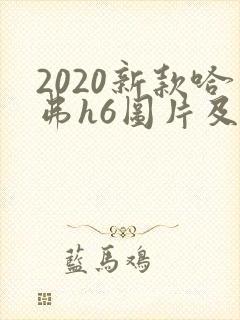 2020新款哈弗h6图片及价格 2020新款哈弗h6图片及价格