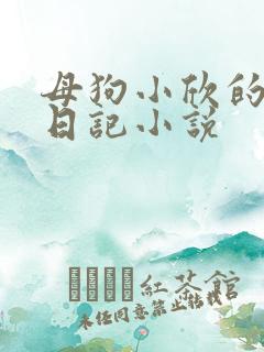母狗小欣的调教日记小说