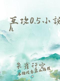 互攻0.5小说h
