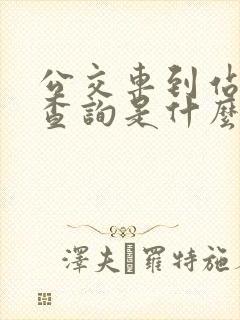 公交车到站实时查询是什么软件啊
