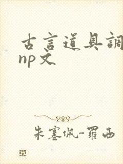 古言道具调教文np文