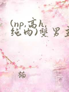 (np,高h,纯肉)双男主