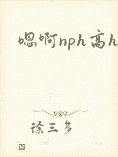 嗯啊nph高h