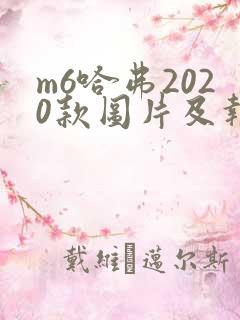 m6哈弗2020款图片及报价自动挡