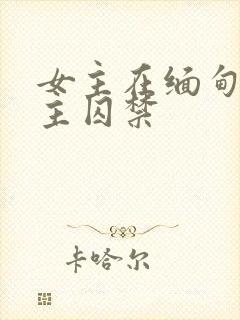 女主在缅甸被男主囚禁
