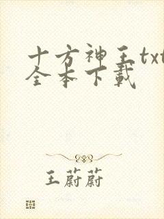 十方神王txt全本下载