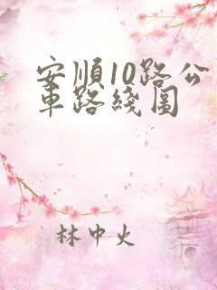 安顺10路公交车路线图