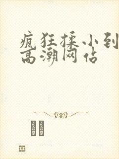 疯狂揉小到失禁高潮网站