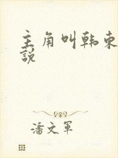 主角叫韩东的小说