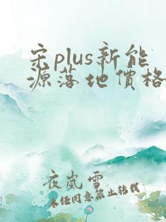 宋plus新能源落地价格