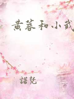 黄蓉和小武后传 黄蓉和小武后传