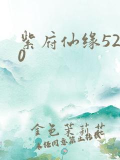 紫府仙缘5200