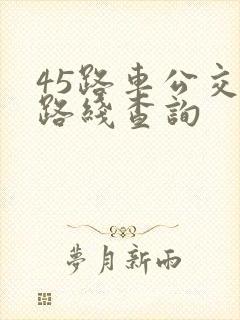 45路车公交车路线查询