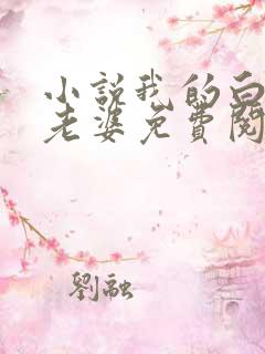 小说我的白富美老婆免费阅读原文