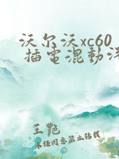 沃尔沃xc60 插电混动汽车