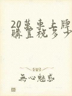 20万车上牌和购置税多少钱