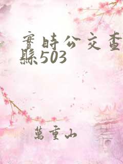 实时公交查询丰县503