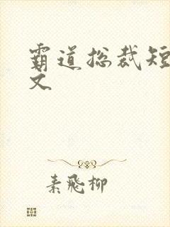霸道总裁短篇甜文
