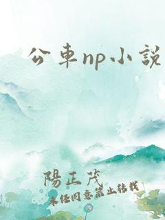 公车np小说