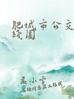 肥城市公交车路线图
