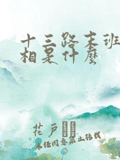 十三路末班车真相是什么