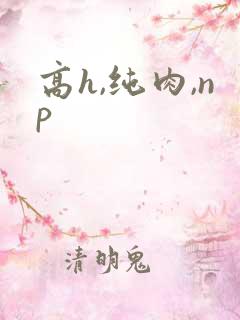 高h,纯肉,np