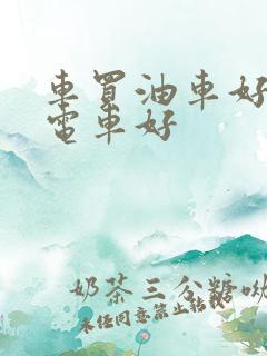 车买油车好还是电车好