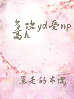 多攻yd受np高h