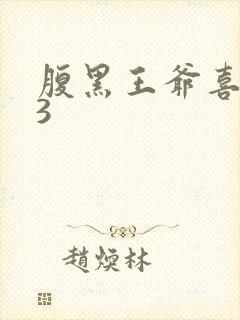 腹黑王爷喜当爹3