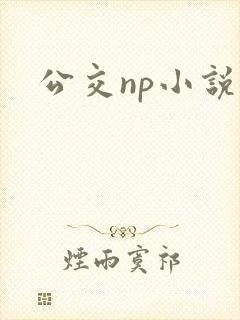 公交np小说