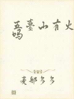 五台山有火车站吗