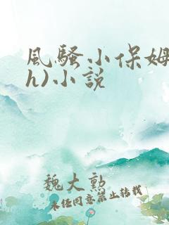 风骚小保姆(高h)小说