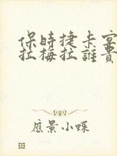 保时捷卡宴和帕拉梅拉谁贵