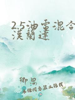 2.5油电混合汉兰达