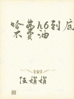 哈弗h6到底费不费油