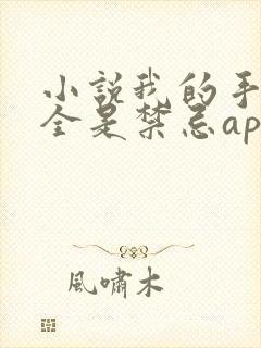 小说我的手机上全是禁忌app