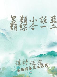 另类小说亚洲另类综合一二区