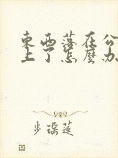 东西落在公交车上了怎么办