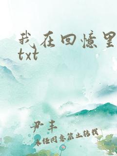 我在回忆里等你txt