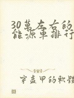 30万左右的新能源车排行榜前十名
