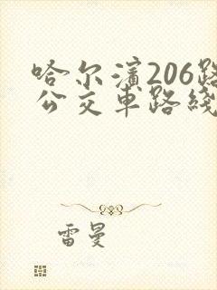 哈尔滨206路公交车路线