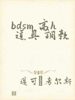 bdsm 高h 道具 调教 文