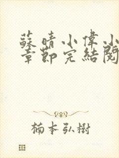 苏晴小伟小说全章节完结阅读