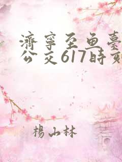 济宁至鱼台城际公交617时刻表