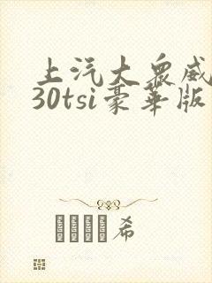 上汽大众威然330tsi豪华版报价